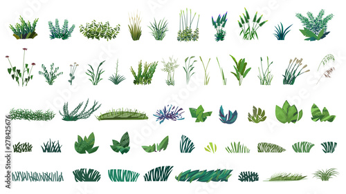 huge collection of stylized isolated green plants for your illustrations photo
