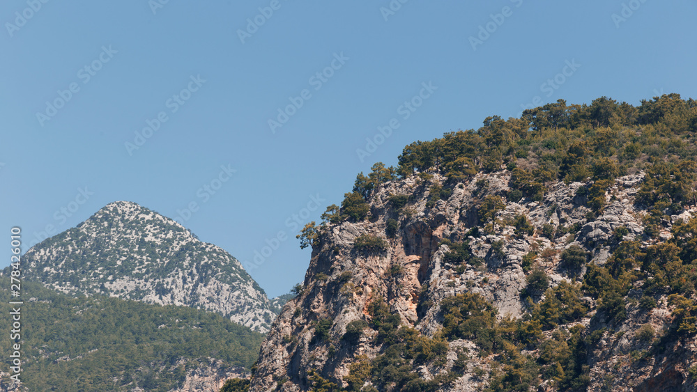 Naklejka premium Large pine trees grow on top of the mountains. Beautiful landscape in the mountains. Lovely view of the Taurus Mountains against the blue sky. Kemer, Turkey