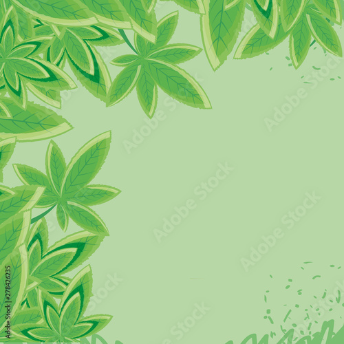 cannabis leafs plant nature frame