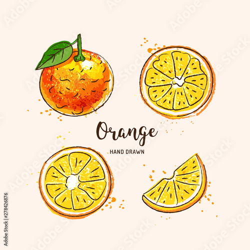 Orange fruit drawing, orange slices. Watercolor oranges on a white background. Vector isolated illustration