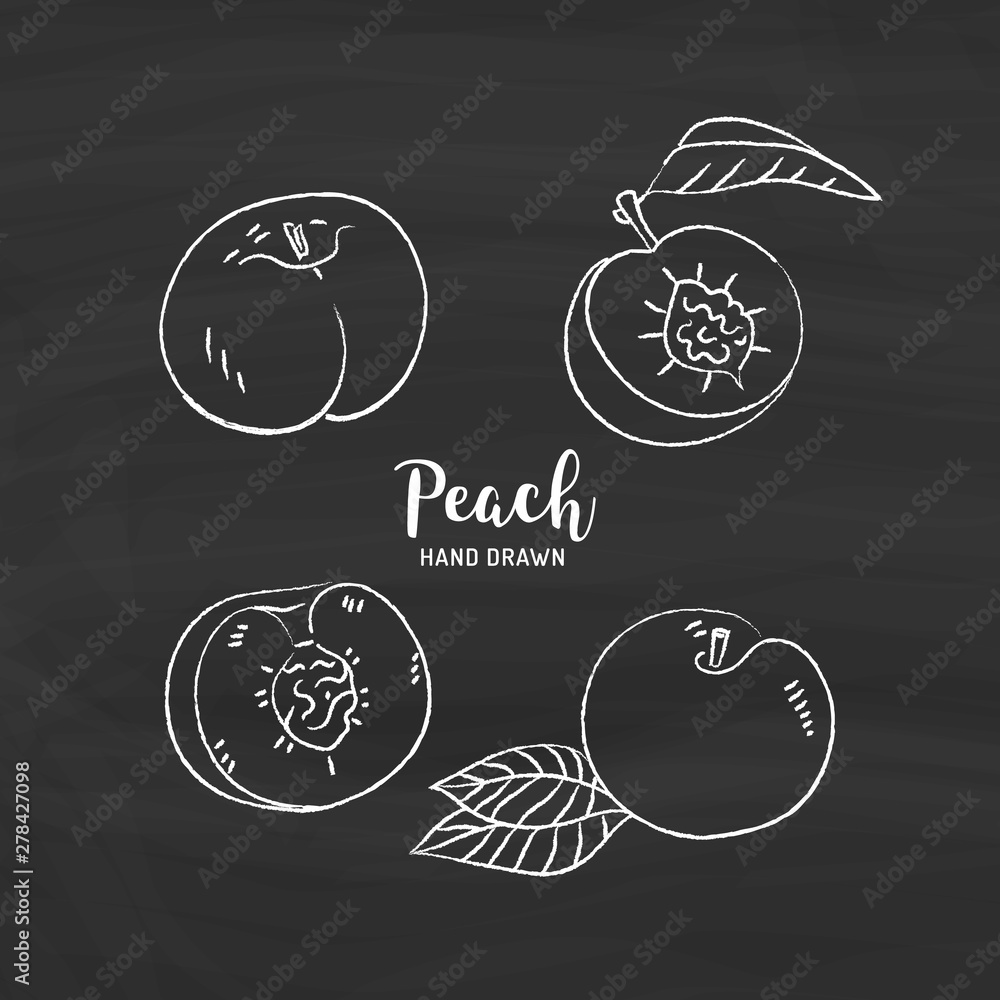 Peach fruit drawing, Peach fruit cut in half with bone. Sketch of