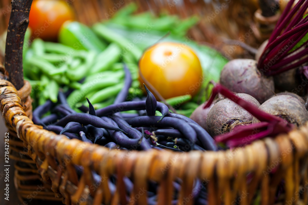 Fotografie Wicker basket with freshly picked vegetables