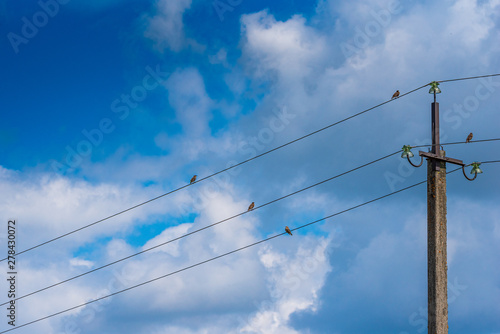 Sparrows sit on the electric wire against a blue sky.