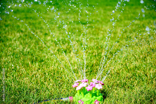 Children s flower shaped water sprinkler on maintained lawn 