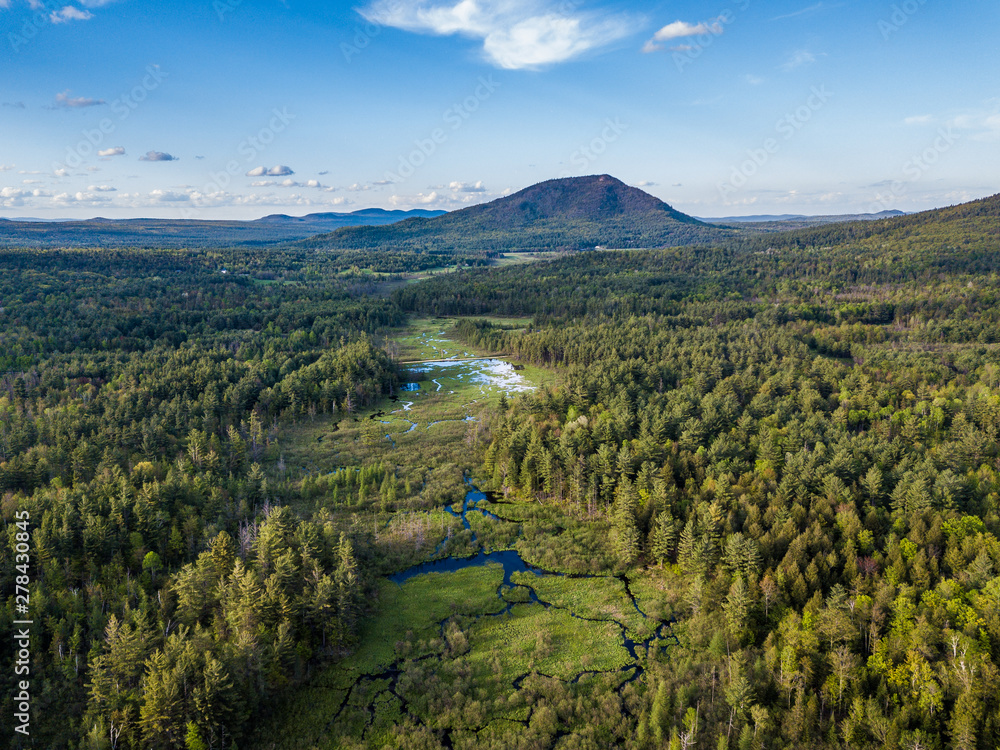 Naklejka premium Aerial panaroma of Adirondack Mountains