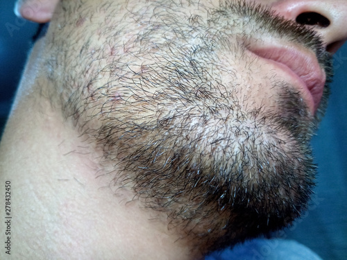 Bearded young man, stubble near. Unshaven more than a week.