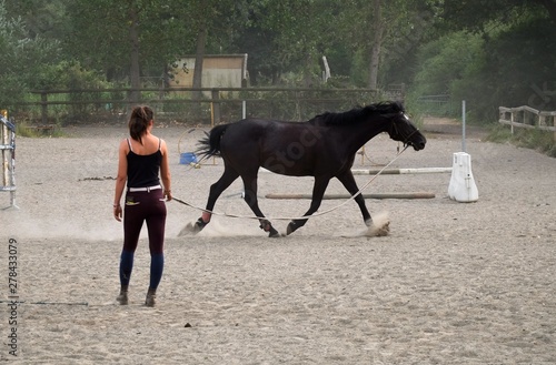 Принти на полотні Jeune femme qui longe son cheval.