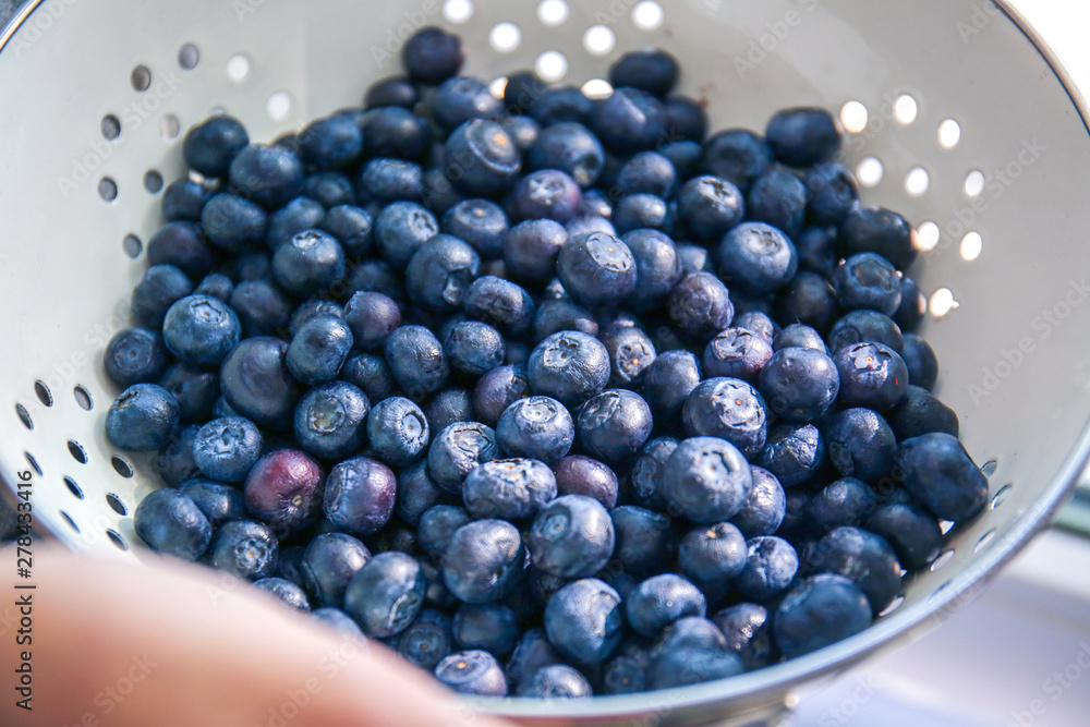 Heap of fresh blueberry in colander, closeup Heap of fresh blueberry in colander, closeup