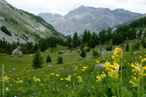 Nationalparc Mercantour in the french alps, Europe