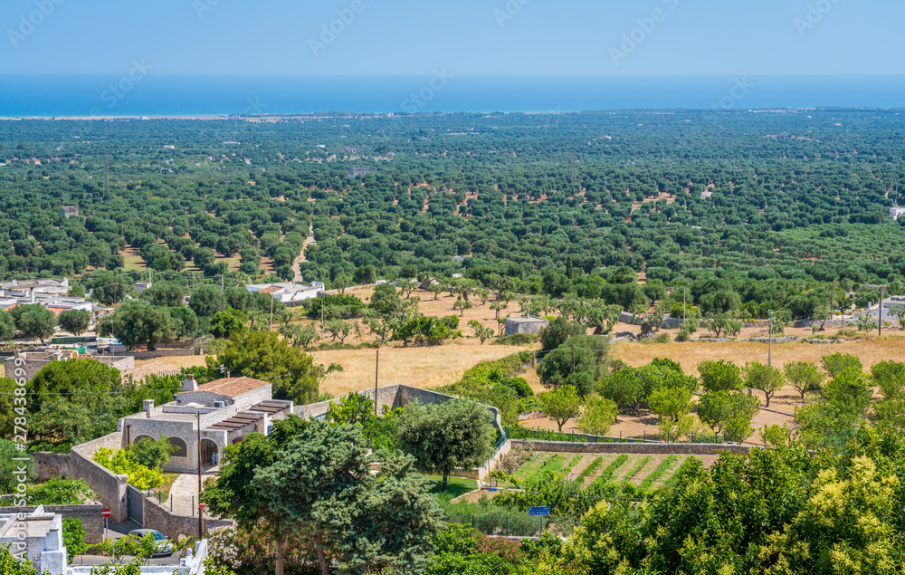 Mediterranean landscape surrounding Ostuni in a sunny summer day, Apulia (Puglia), southern Italy.