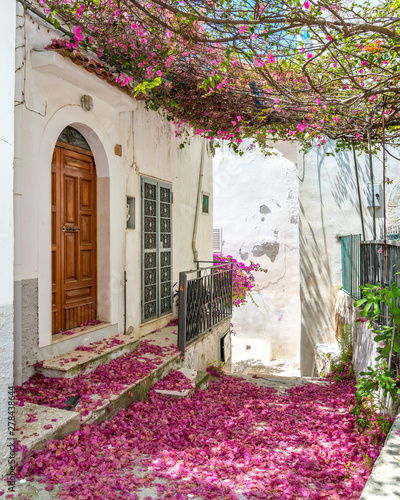 Fototapeta Naklejka Na Ścianę i Meble -  Scenic sight in Peschici with bouganvillea, Foggia Province, Apulia (Puglia), Italy.