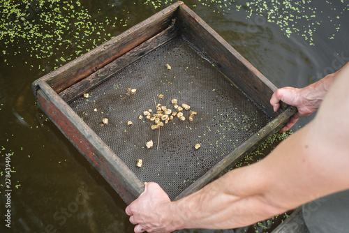 Valokuva Sifting soil in water through the grate in search of the gold concept