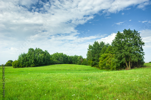 Green hilly meadow and trees, white clouds and blue sky