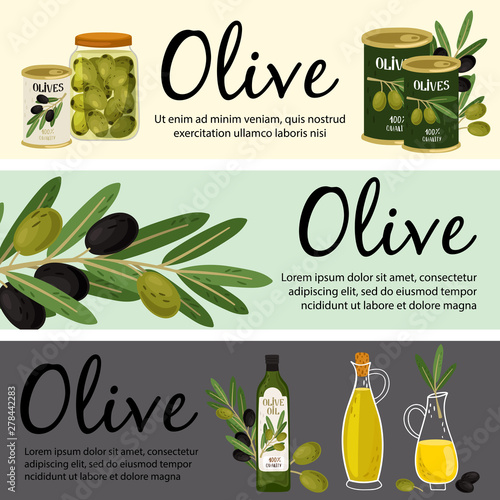 Olive banners template. Olive organic products and plant vector illustration. Product oil fruit, plant ripe olive organic