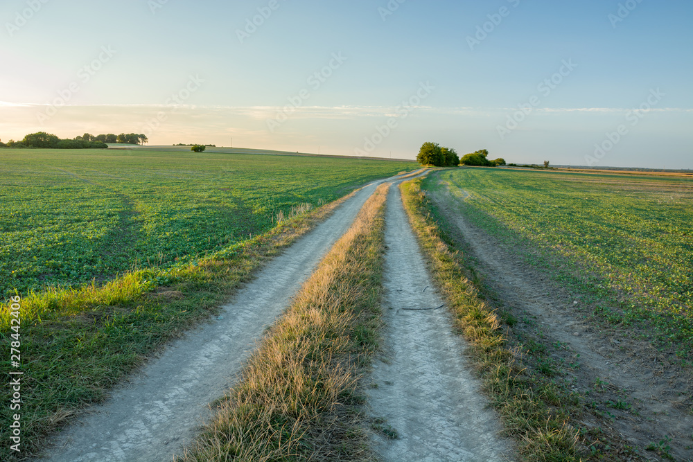 Country road through green fields, horizon and sky