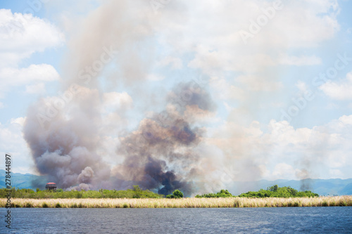 Fire along Rio Negro river banks, Jamaica