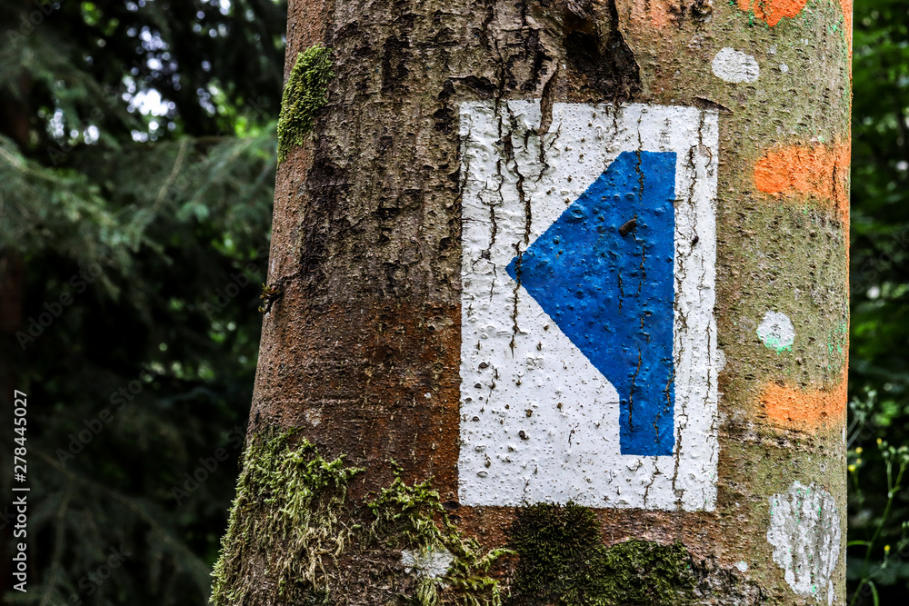 Fototapeta premium Signe