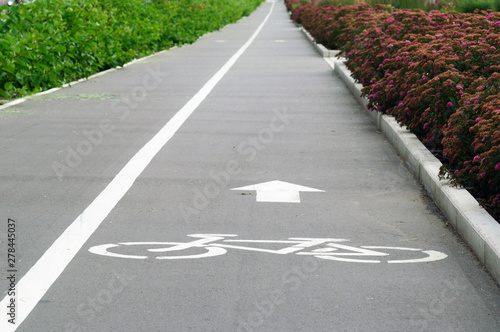 Wallpaper Mural Bike path in the Park, Kazan, Russia. Torontodigital.ca