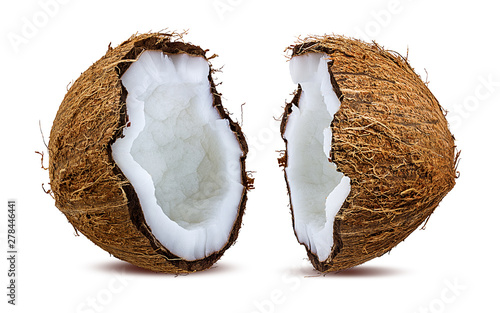 coconuts isolated on the white background photo