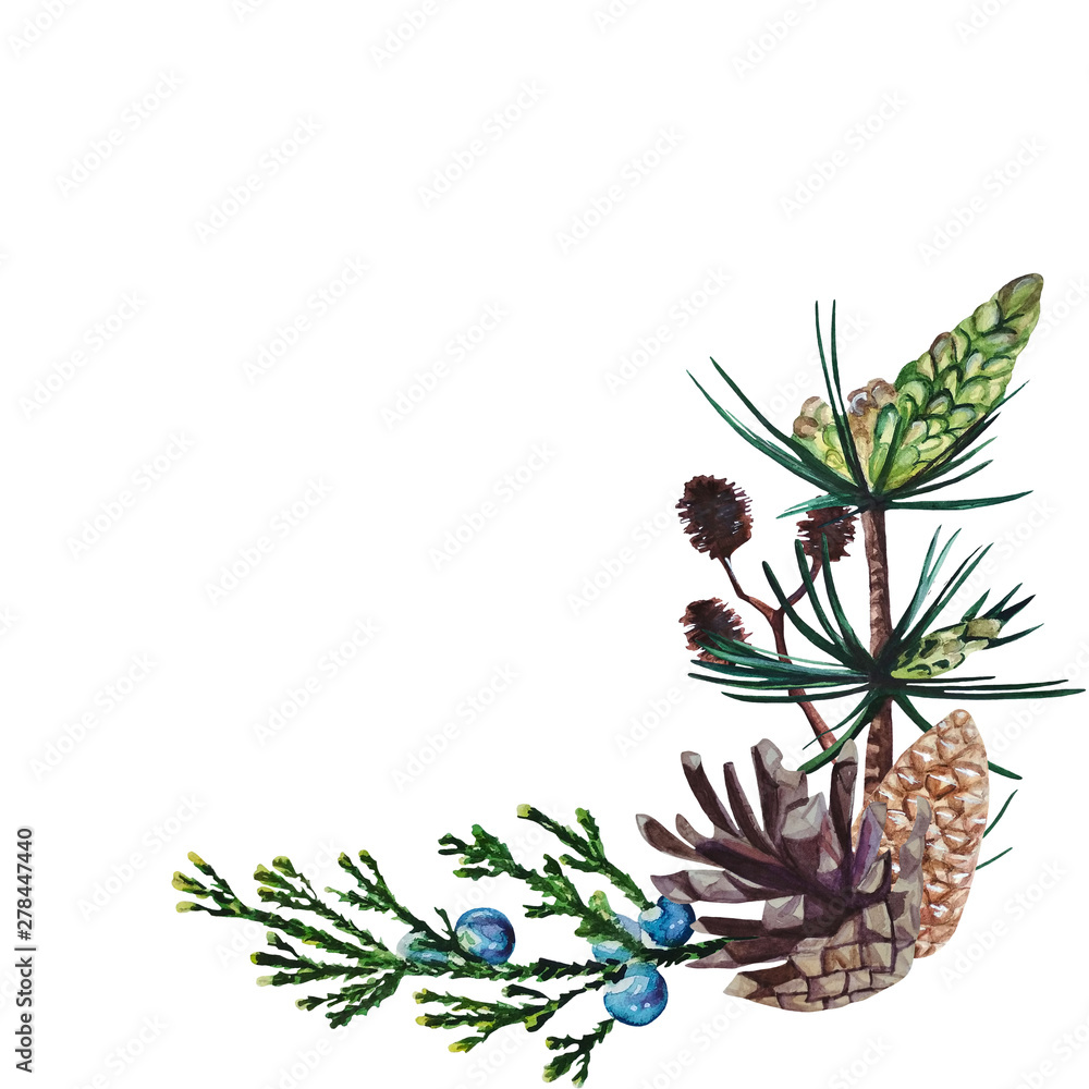 Watercolor corner frame consisting of pine, juniper and alder branches and pine cones. Watercolor hand painted floral corner frame isolated on white background.