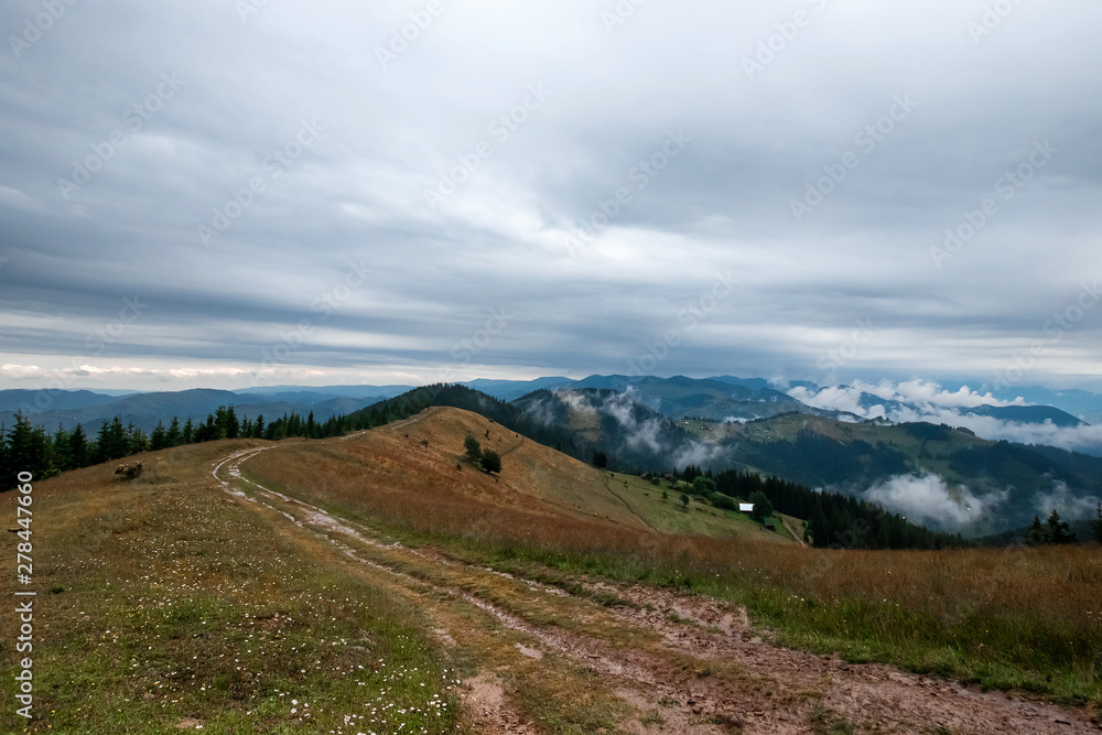 Fototapeta premium Mountain, beautiful summer landscape, road in the mountains, sky, summer. Ukraine, the Carpathian Mountains. Concept of travel, tourism, holidays, vacation