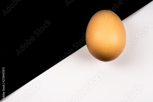 chicken egg on black white background photo