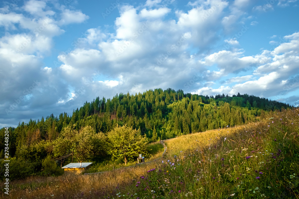 Mountain, beautiful landscape. Ukraine, the Carpathian Mountains. Concept of travel, tourism, holidays, vacation