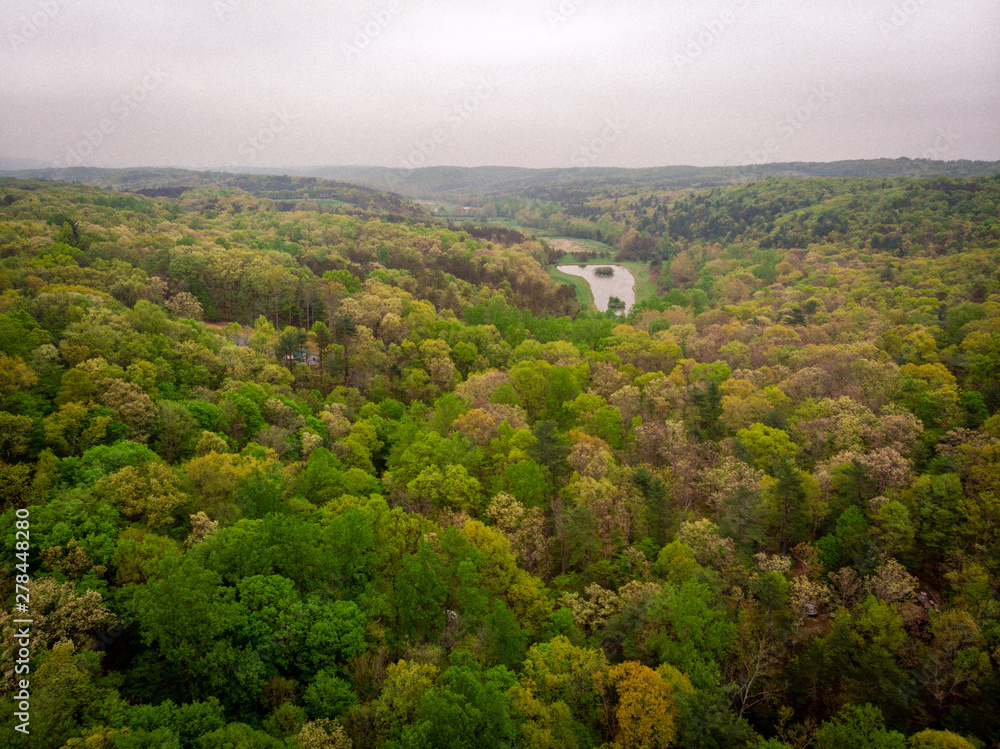 aerial view of rainy forest
