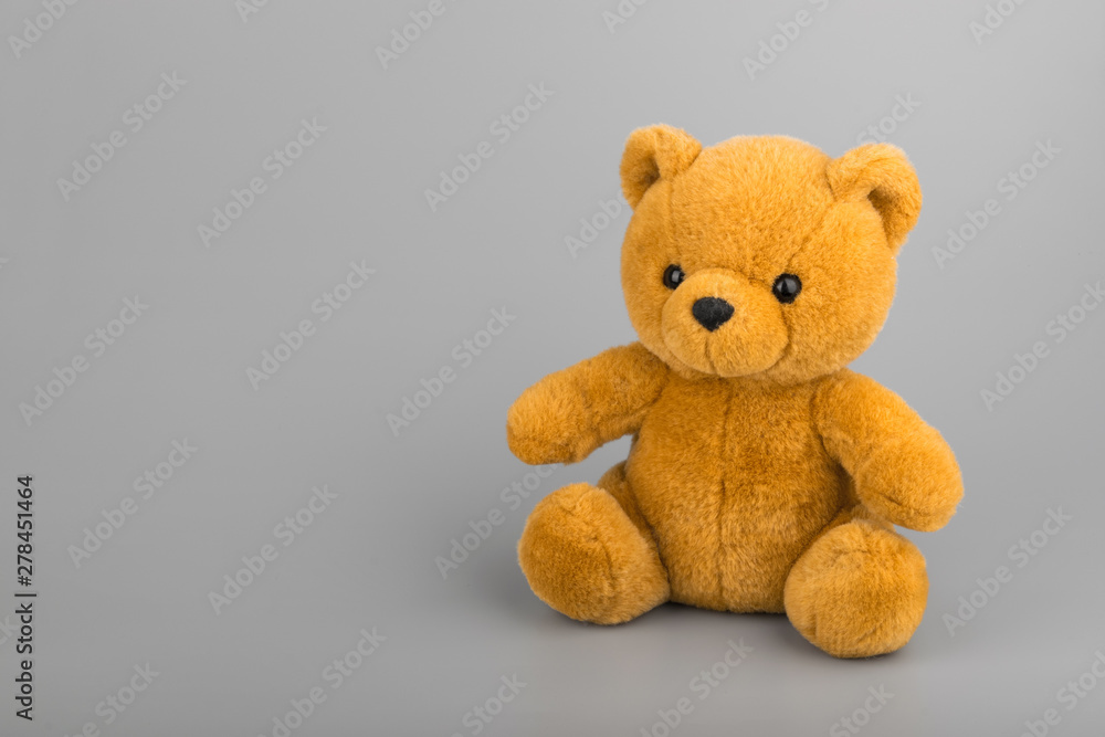 Obraz premium Teddy bear on grey background copyspace