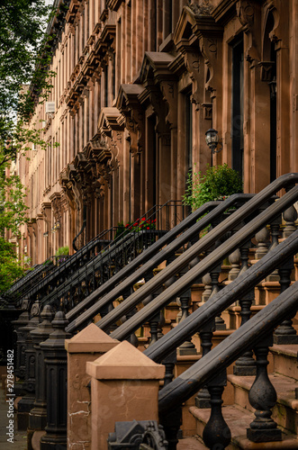 Εκτύπωση καμβά A perspective of Brooklyn Heigts stoop stairs