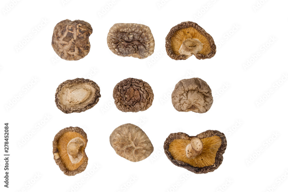 dried Shitake mushroom isolated on white background. food ingredient. dried Shitake mushroom isolated on white background. food ingredient.