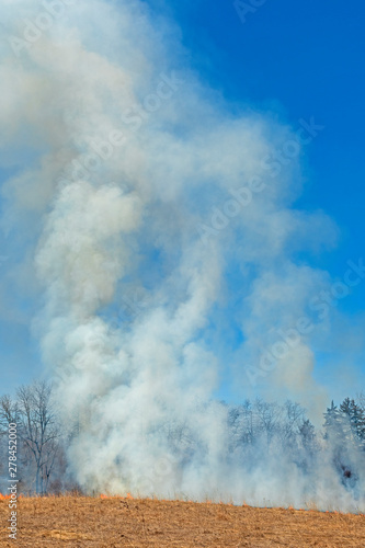 Smoke Rising from a Burning Prairie © wildnerdpix