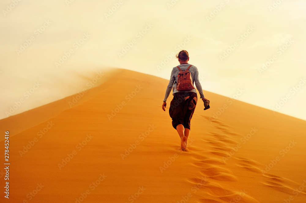 Sand dunes in the Sahara Desert, Morocco