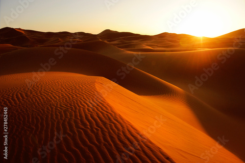 Sand dunes at sunset in the Sahara Desert © Andrii Vergeles