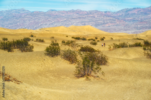 Mesquite Flat Sand Dunes. Death Valley National Park, California © Hanna Tor