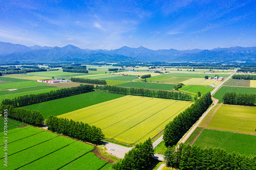Fototapeta premium 北海道の空撮