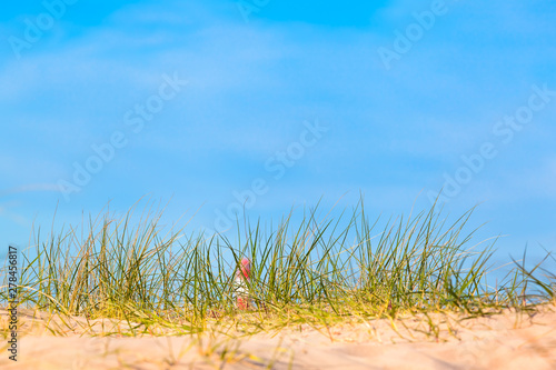 Beach View to Coastal Beacon   Dune grass on beach sand  soft focused red and white striped lighthouse blurred at distance  like as miniature  blue sky copy space