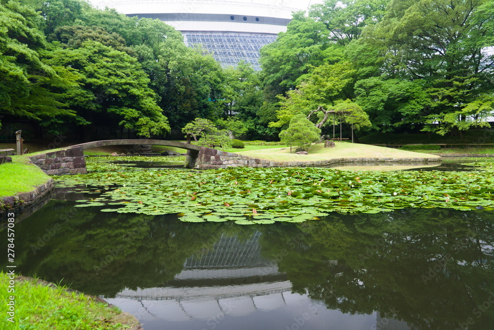 bridge in park