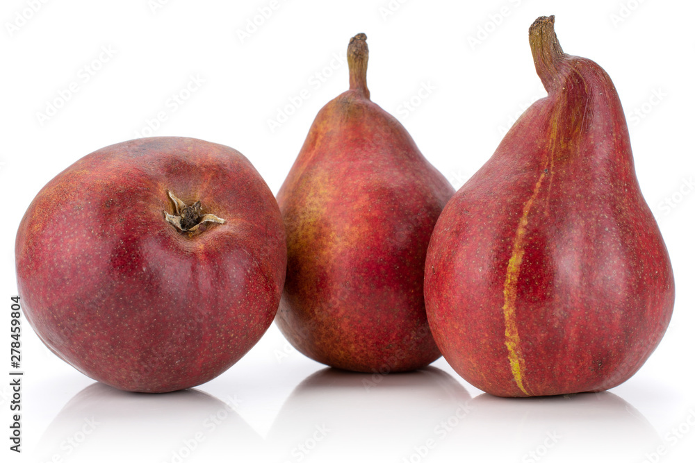 Group of three whole fresh dark red pear anjou with a streak isolated on white background Group of three whole fresh dark red pear anjou with a streak isolated on white background