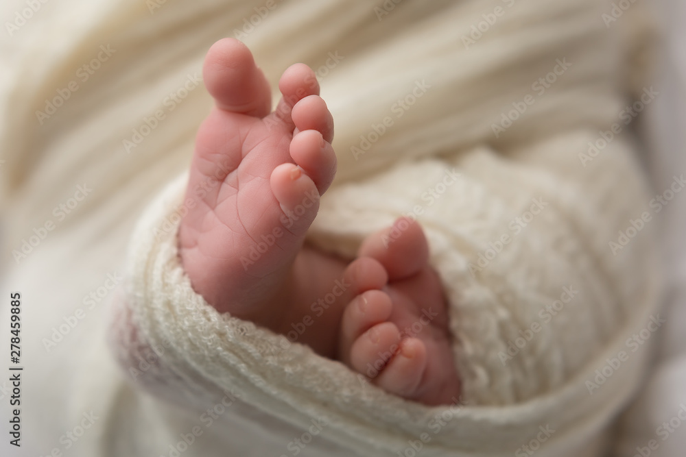 baby feet on background. feet of a newborn baby. the legs of a newborn baby in his hands . baby's feet. baby feet on background baby feet on background. feet of a newborn baby. the legs of a newborn baby in his hands . baby's feet. baby feet on background