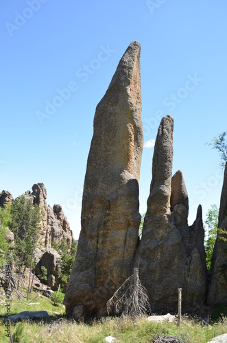 Late Spring in South Dakota: Rock Pinnacles Along the Needles Highway in the Black Hills