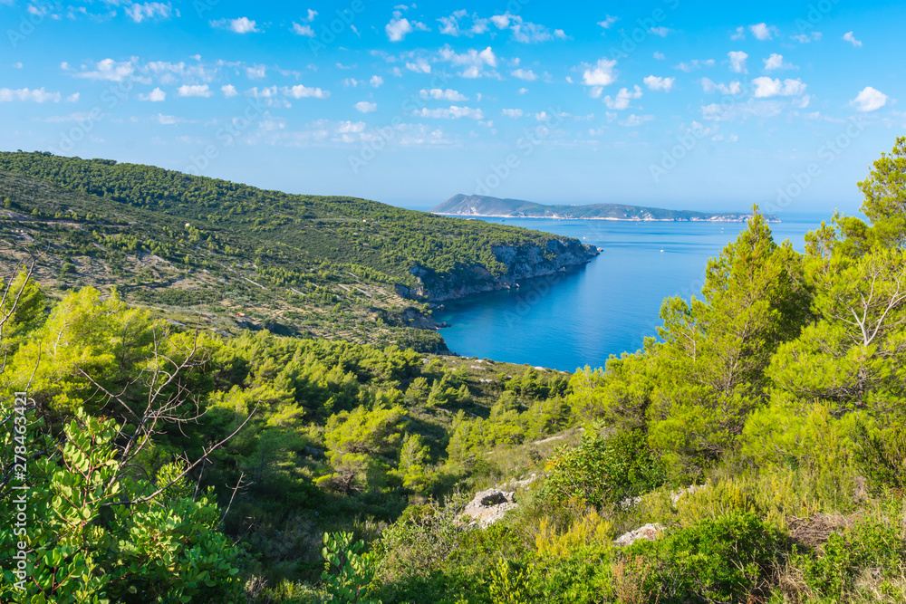 Landscape view of a beautiful blue bay viewed over green mediterranean vegetation and vineyards with an island in the background and sailing boats in summer, Vis island, Croatia, Europe