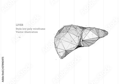 Liver organ. Low poly wireframe style. Technology in medicine. Abstract illustration isolated on white background. Particles are connected in a geometric silhouette