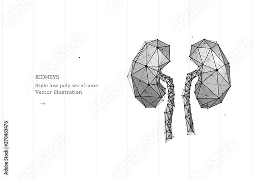 Abstract polygonal light of healthy kidneys structure. Business wireframe mesh spheres from flying debris. Human organ concept. Blue structure style vector illustration with geometry triangles.