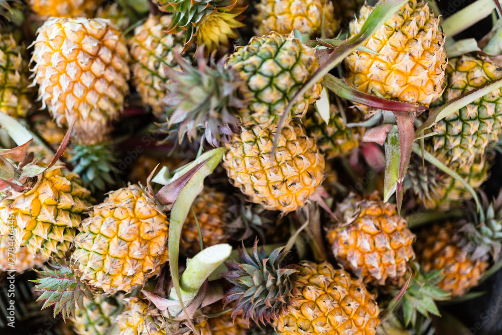 Fresh pineapple fruits. Tropical fruits concept. Healthy and vitamin food