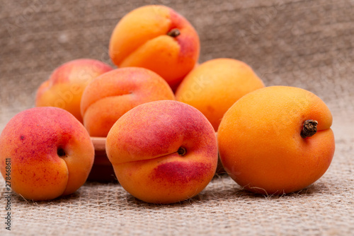 Fresh Ripe Organic Apricots on burlap background. Genus Prunus.