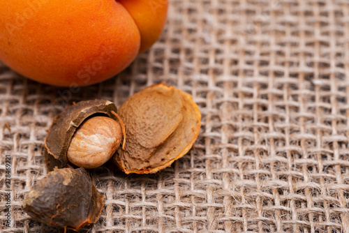 Fresh Organic Apricots and Apricot Kernels (the seed of an apricot, often called a "stone") on natural burlap background. Amygdalin. Vitamin B17.