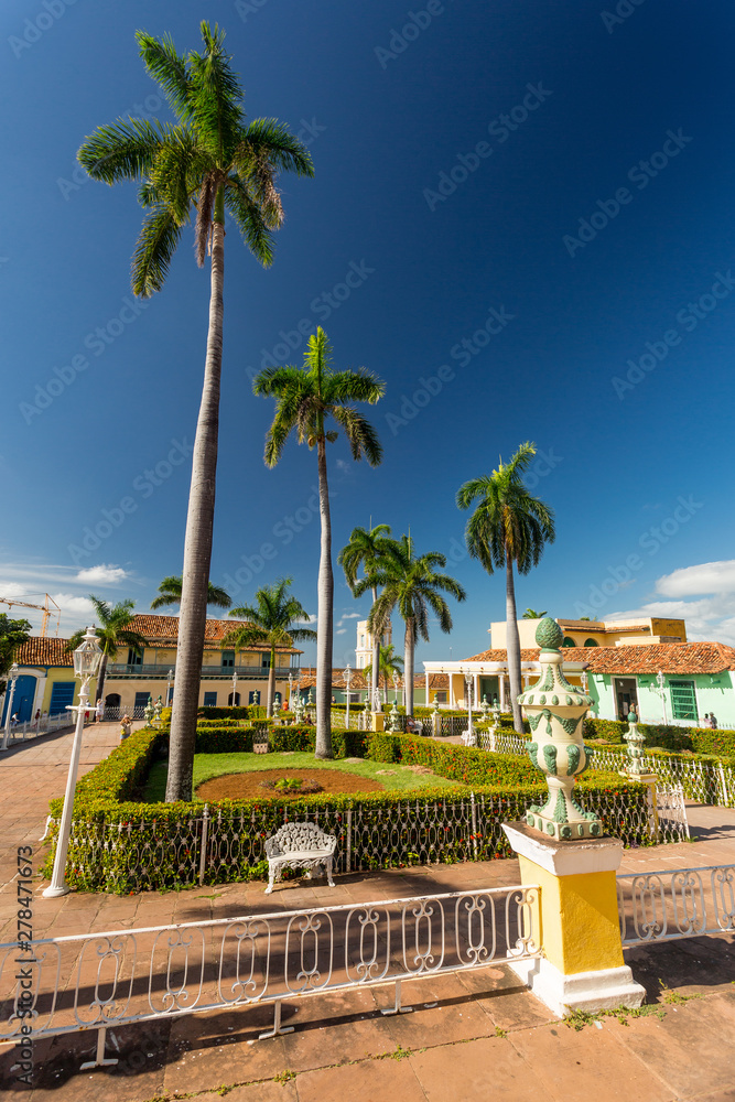Trinidad, Cuba. Plaza mayor palms