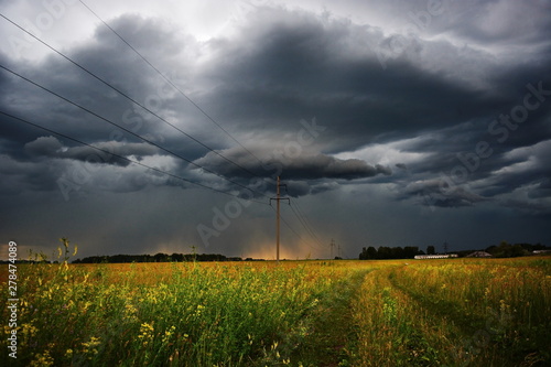 bright flower field before of storm, an electric line pole on the side of a country road under a black thunder cloud