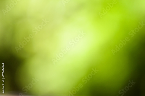 Green nature light background, abstract green bokeh.
